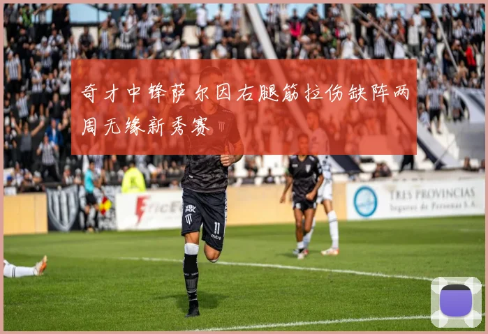奇才中锋萨尔因右腿筋拉伤缺阵两周无缘新秀赛