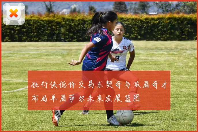 独行侠低价交易东契奇与浓眉奇才布局羊眉萨尔未来发展蓝图